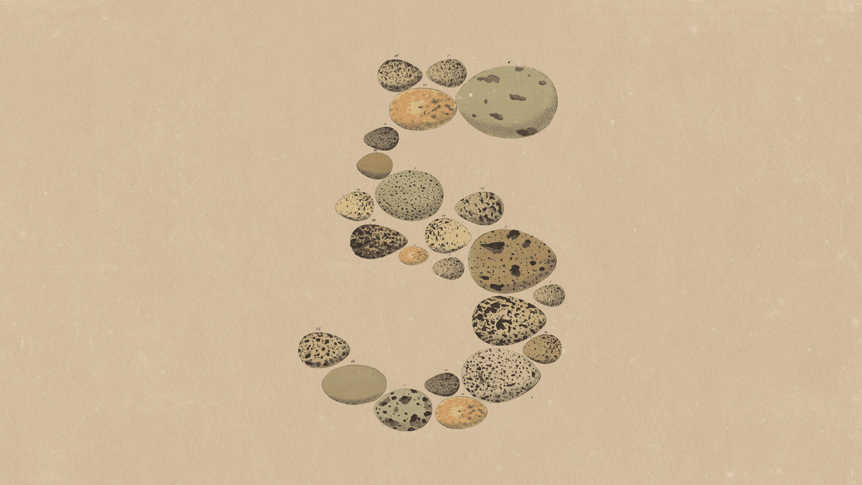 Anthropic’s Claude Opus 5 launch artwork: patterned stones forming the number 5