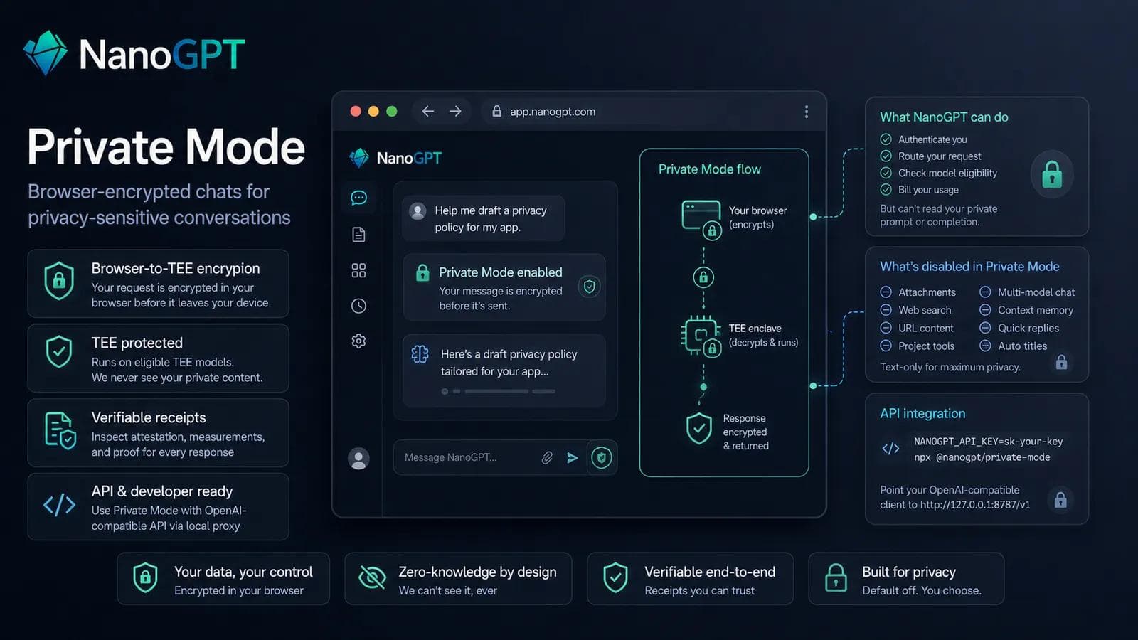 NanoGPT Private Mode overview